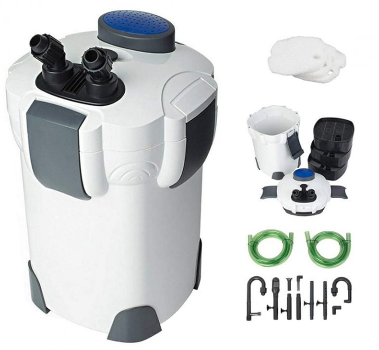 Best Budget Choice SunSun Canister Filter