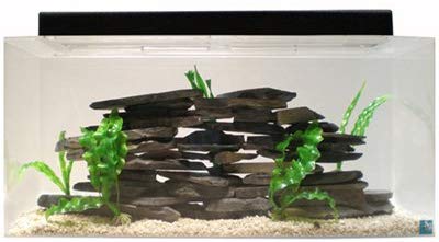 Fish Tank Size 30 Gallon SeaClear Acrylic Combo Set