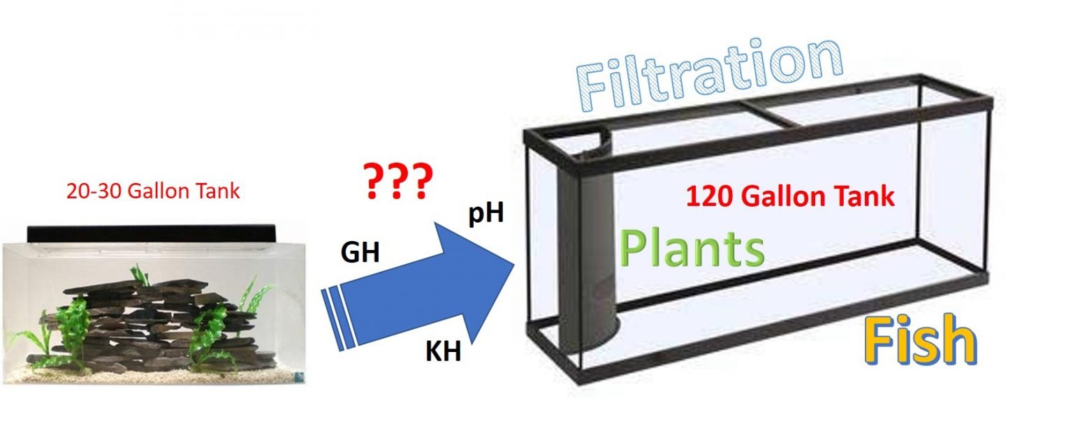 Aquarium Calculator Calculate Volume (Litres & Gallons) Based on