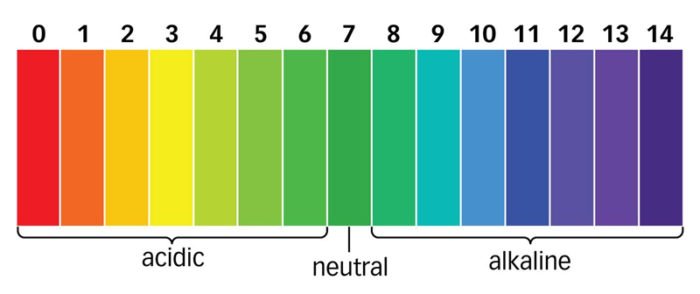 pH scale for fish tanks