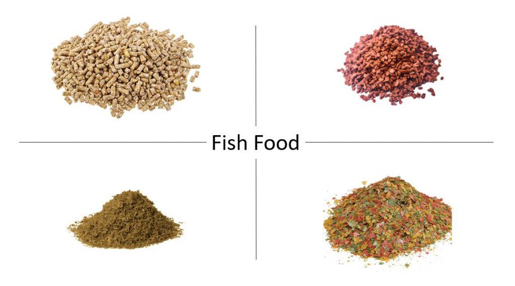 FISH FOOD What to Feed Your Fish