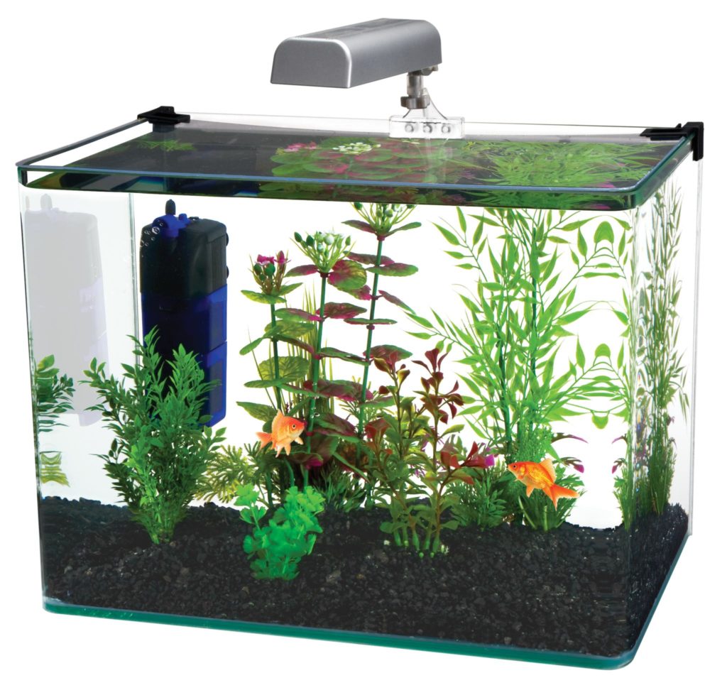 10 Gallon Fish Tank