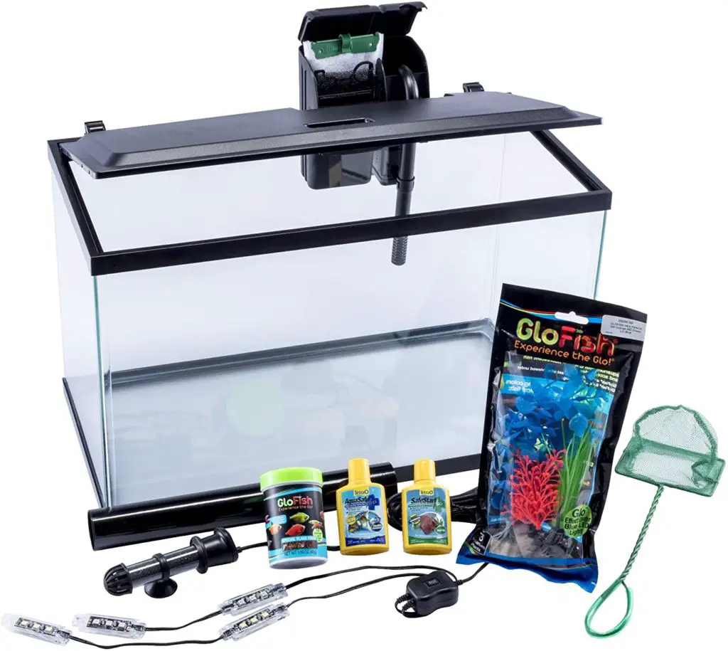GloFish 10 Gallon Starter Kit