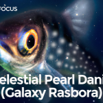 Celestial Pearl Danio Care Guide